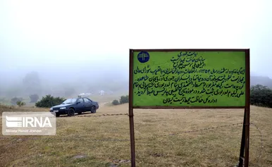 شکوفایی نادرترین گل جهان در داماش گیلان