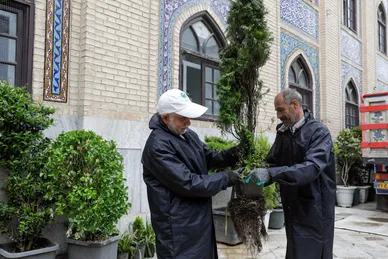 عکس‌هایی از ورود کاروان گل‌های اهدایی به حرم مطهر رضوی
