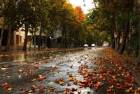 ویدئو| خیابان ولی‌عصر در پاییز ۱۴۰۳