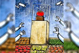 کارتون | گوجه در اوج!