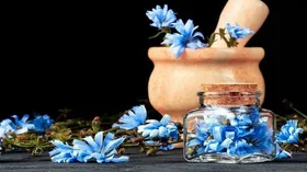 عرق کاسنی چه خواصی دارد؟