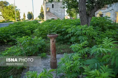 ایران زیباست | سفر با قطار به شمال