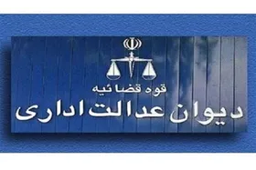 دیوان عدالت اداری هیچ&zwnj;گونه تصمیمی درباره مصوبه خودرویی دولت اتخاذ نکرده است