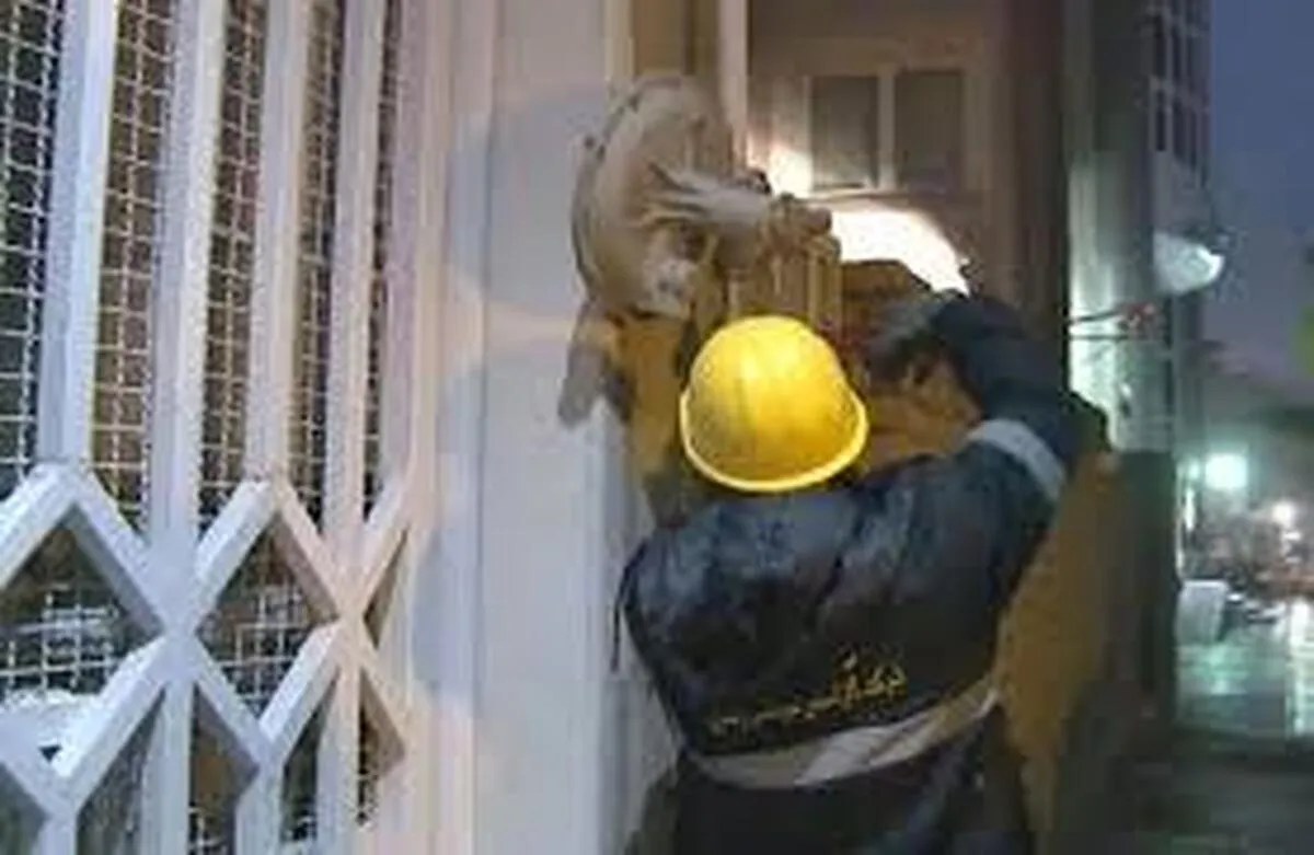 تاکنون گاز ۷۰ درصد مشترکان تربت‌جام وصل شده است (۲۷ دی‌ماه ۱۴۰۱)