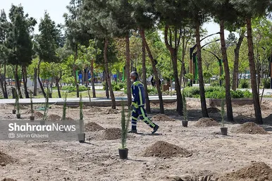 گزارش تصویری | «گلستان میناب» در بوستان جهان شهر