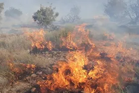 ته سیگار، آتش را به جان ۱۵ هکتار بستر رودخانه ارس انداخت | ۴ گردشگر بازداشت شدند