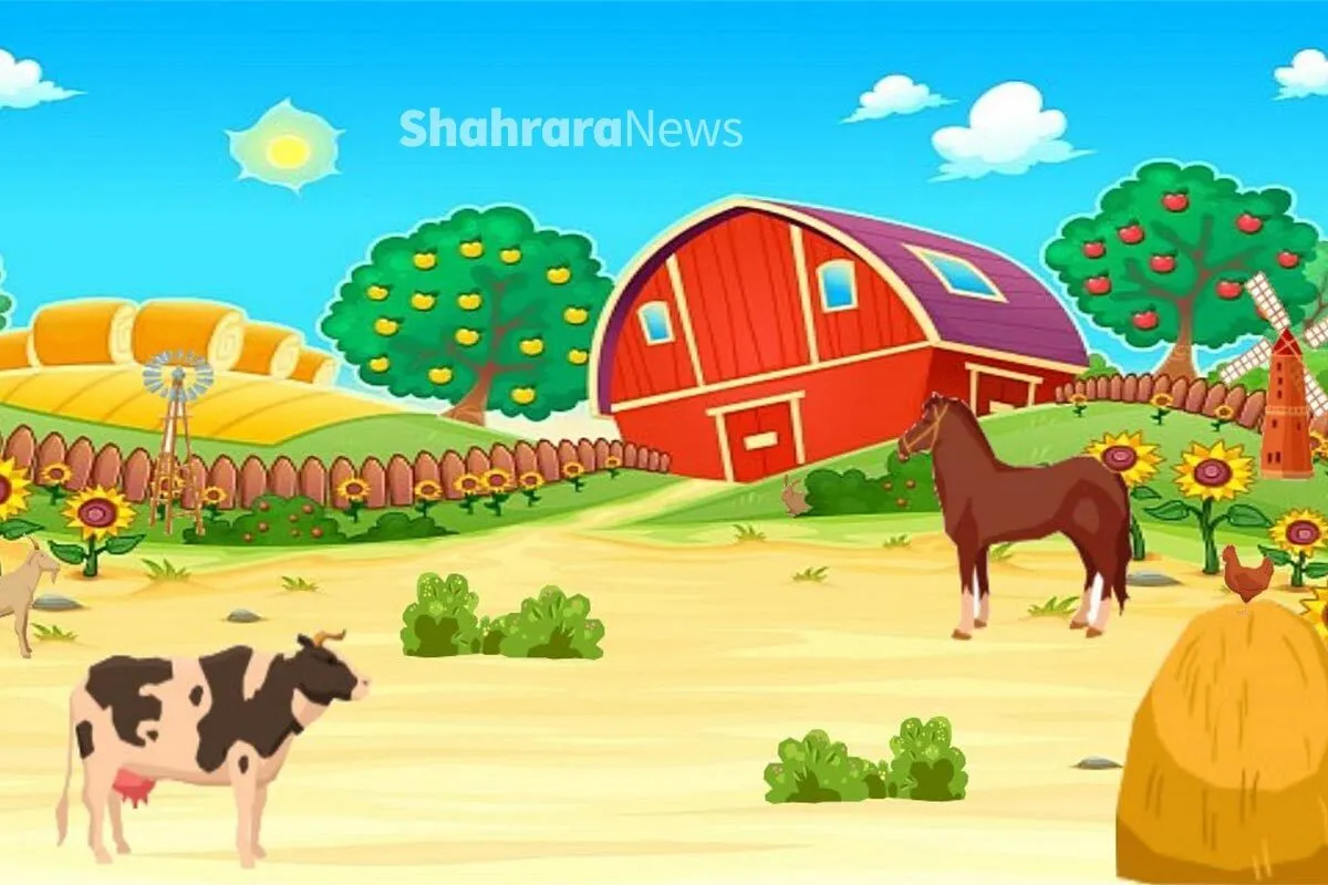 سرگرمی با بگرد و پیدا کن | مزرعه