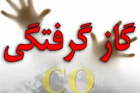 گازگرفتگی پنج نفر در تربت حیدریه خراسان رضوی (۳۰ آذر ۱۴۰۳)