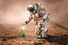آیا زمین تنها سیاره میزبان حیات است یا زمینی&zwnj;ها حیات خلوتی هم دارند؟