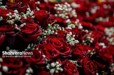 چراغانی و گل آرایی حرم مطهر رضوی در دهه کرامت