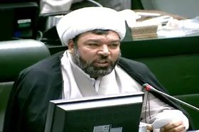 عضو فراکسیون روحانیت مجلس: سامان&zwnj;دهی اتباع باید عاقلانه و به&zwnj;دور از شتاب&zwnj;زدگی صورت گیرد