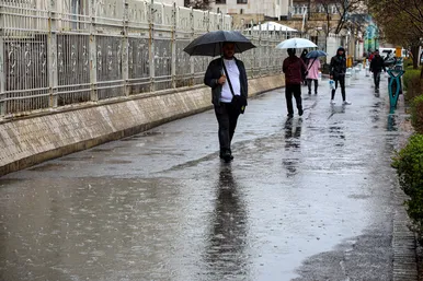 بارش باران در مشهد
