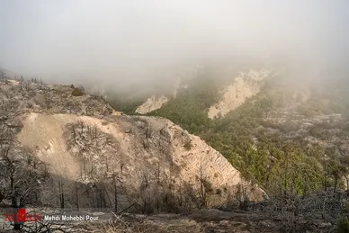 آتش سوزی منطقه حفاظت شده جهان نمای  گلستان