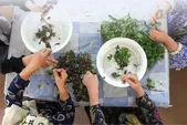 تنها خانه حمایتی سالمندان در مشهد، خانه‌ای برای عبور از روز‌های تنهایی