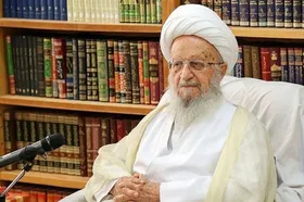 آیت&zwnj;الله مکارم شیرازی: مردم مشکلات را احساس می&zwnj;کنند اما حضور پای صندوق را فراموش نخواهند کرد