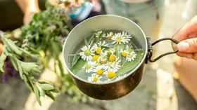 درمان&zwnj;های طبیعی و خانگی که به کاهش معده درد کمک می&zwnj;کند