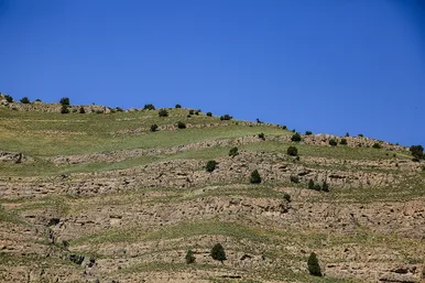 طبیعت پارک ملی تندوره