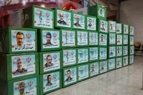 تمامی شهدای جنگ ۱۲ روزه احراز هویت شدند