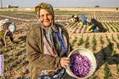 شمال خراسان به رنگ ارغوان