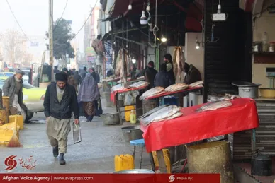 ماهی فروشان مزارشریف
