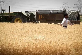 پرداخت تمام مطالبات گندم&zwnj;کاران (۳۰ مهرماه ۱۴۰۲)