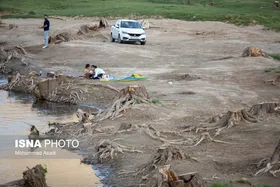 گزارش تصویری | قطع گسترده درختان روستای &laquo;اسکان&raquo; - شازند