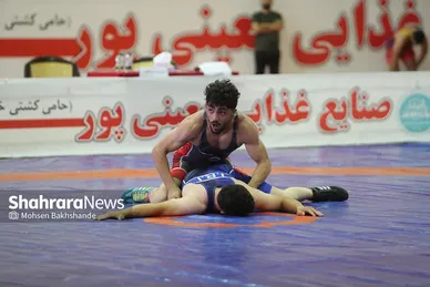 مسابقات کشتی گروه چهارم لیگ دسته یک کشور