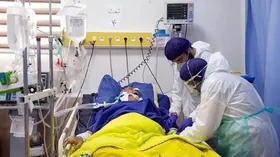 شروع پیک کرونا در ۱۵ استان/ روند صعودی پیک کرونا در خراسان&zwnj;رضوی مشاهده می&zwnj;شود