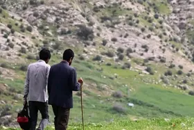 اکران &laquo;درب&raquo; در شانزلیزه پاریس