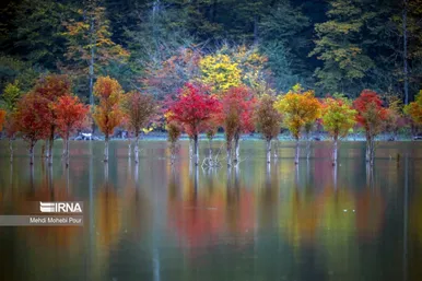 ایران زیباست | فصل هزار رنگ پاییز