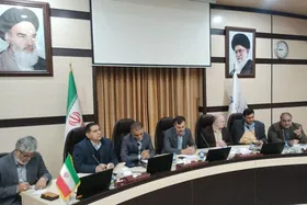 معاون استاندار خراسان رضوی: اگر بر قیمت&zwnj;های غیرواقعی اصرار کنیم، تولید متوقف می&zwnj;شود