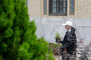 عکس‌هایی از ورود کاروان گل‌های اهدایی به حرم مطهر رضوی