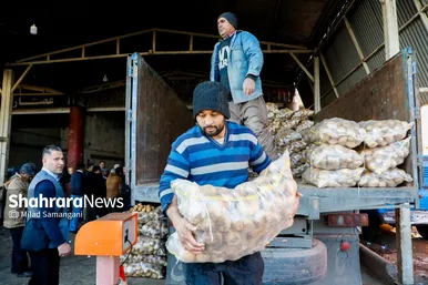 گزارش تصویری | بازدید رئیس کمیسیون اصل ۹۰ از میدان‌بار سپاد مشهد (۲۴ بهمن ۱۴۰۳)