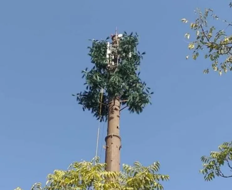 نصب دومین دکل درختی مخابراتی در مشهد