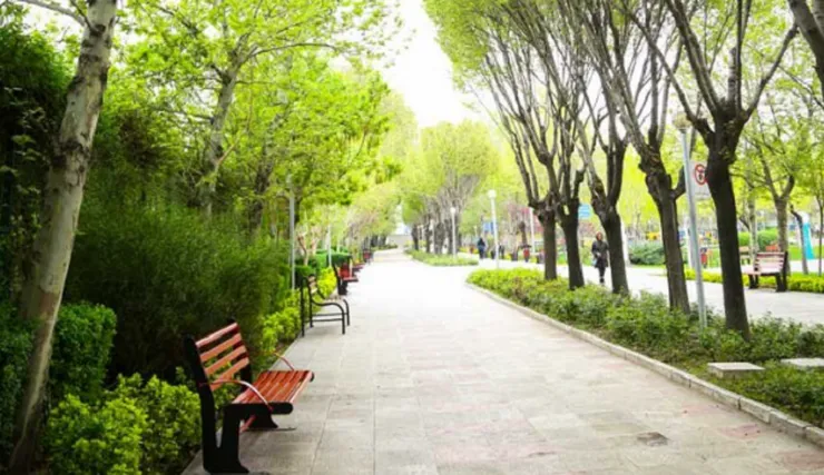 شهروند خبرنگار | درخواست افزایش سرانه فضای سبز در شهرک شهید باهنر مشهد