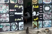 ۴ واحد اغذیه و فست فودی در مشهد پلمب شد (۲۳ بهمن ۱۴۰۲)