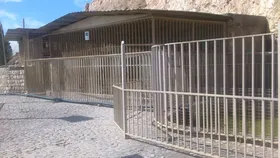وضعیت وحشتناک یک باغ وحش + فیلم