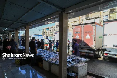 گزارش تصویری |  بازار ماهی فروشان در شهرک عرب‌های مشهد