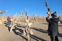 فیلم کوتاه «باغ بهشت» ایرانی در راه انگلیس