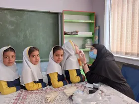 مرحله اول طرح کشوری &laquo;وارنیش فلوراید&raquo; دانش&zwnj;آموزان ابتدایی آغاز شد (۲۰ آبان ۱۴۰۳)