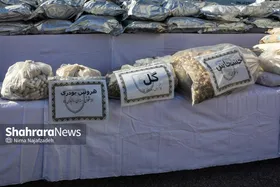 کشف بیش از ۱۶ تن انواع موادمخدر در خراسان رضوی (۲۰ فروردین ۱۴۰۴)