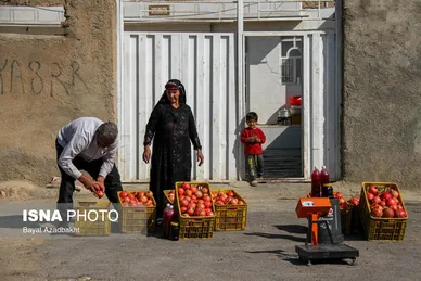 ایران زیباست | انارستان تنگ سیاب (کوهدشت)