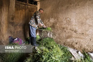 ایران زیباست | روستای گردشگری روئین خراسان شمالی