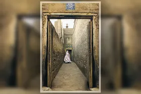مثل یک کبوتر سفید