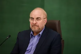 رئیس مجلس: توزیع کالابرگ الکترونیک هر ماه انجام می&zwnj;شود