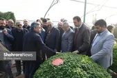 برگزاری ۹ رویداد مهم و ۳ جشنواره در مشهد در بهار ۱۴۰۵