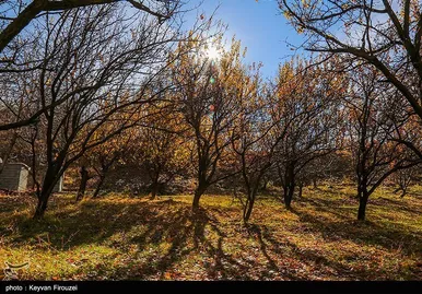 ایران زیباست | پاییز رنگارنگ کردستان