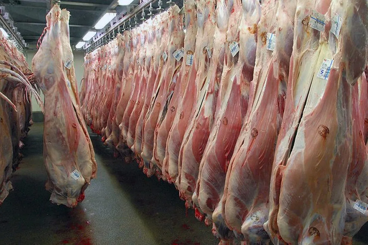 قیمت جدید گوشت فردا (چهارشنبه ۲۳ مهر ۱۴۰۴) اعلام می‌شود