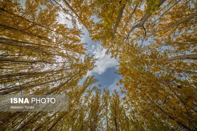 طبیعت پاییزی شهرستان سامان