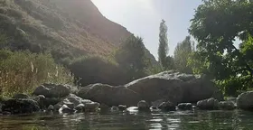 شهروندخبرنگار|روستای درخت جوز